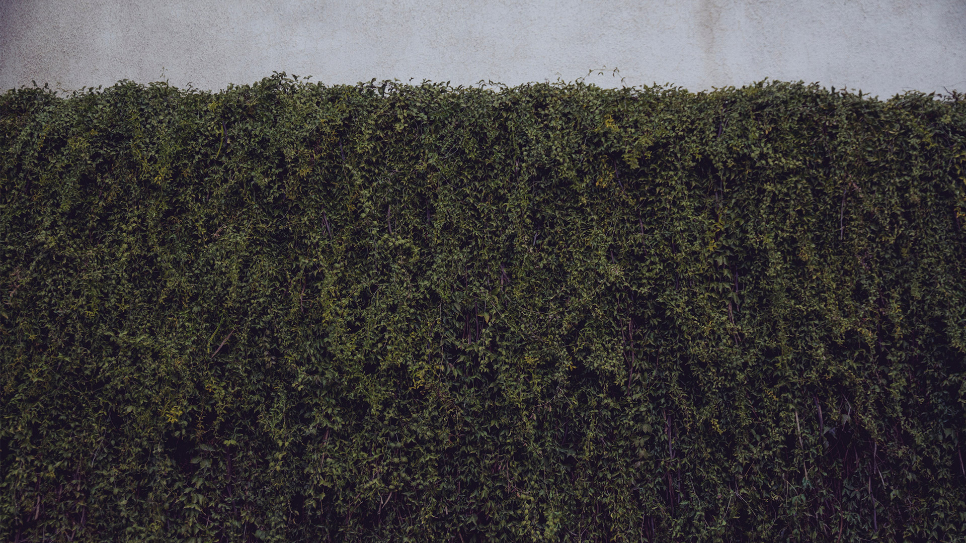 Espinosa Aula Aberta