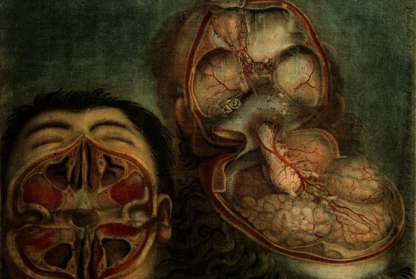 jacques fabien gautier