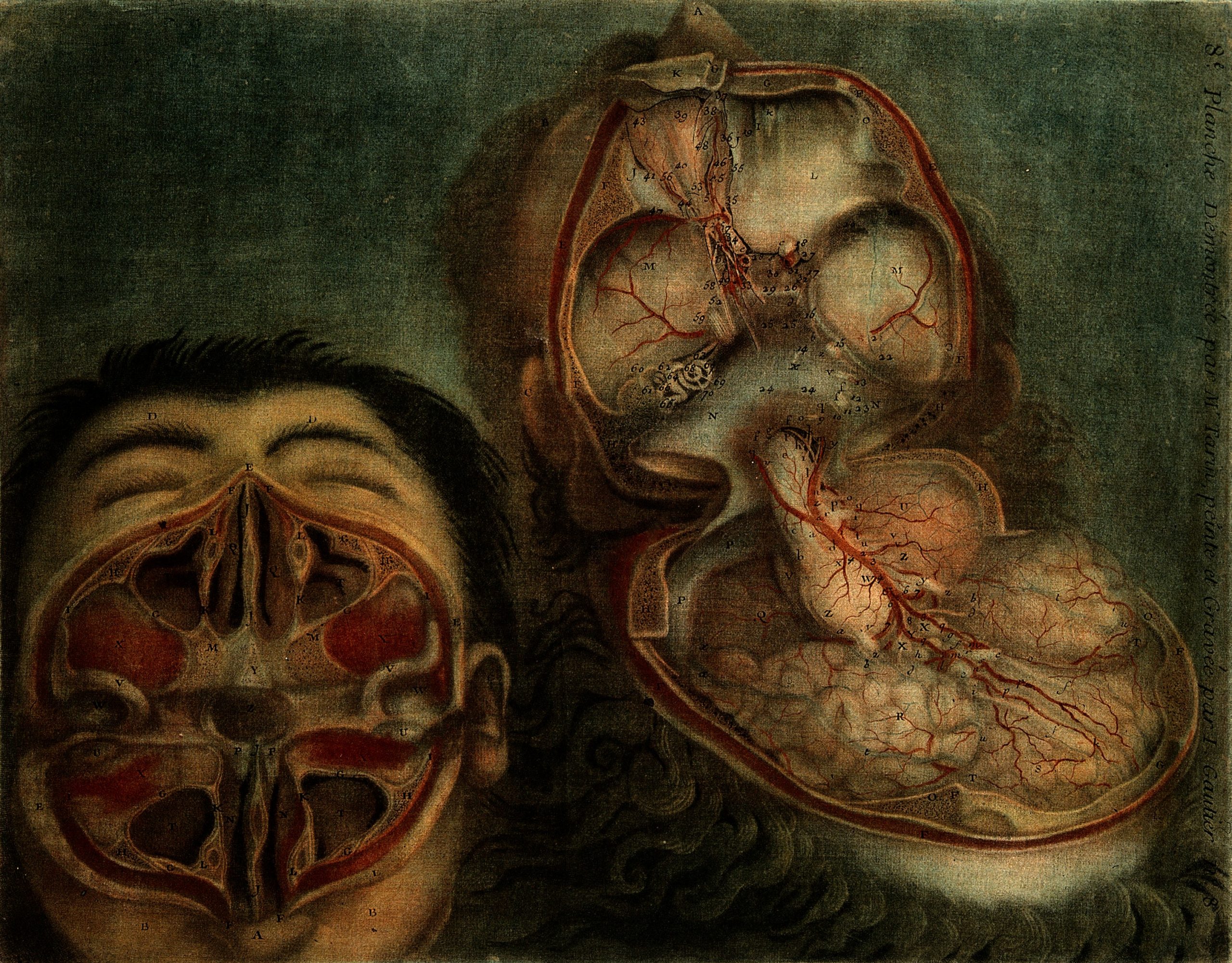 jacques fabien gautier