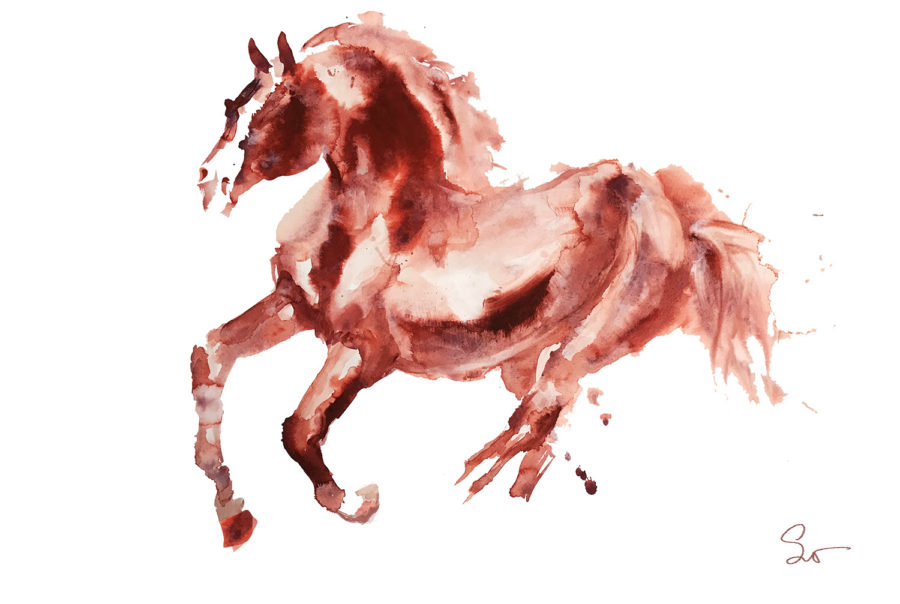 Svetlana Samokhvalova