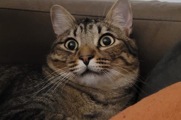 WhatsApp Image 2025-09-09 at 13.15.47_ea9955b6