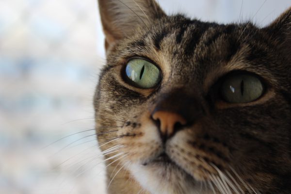 WhatsApp Image 2025-09-09 at 13.29.06_22f1da01