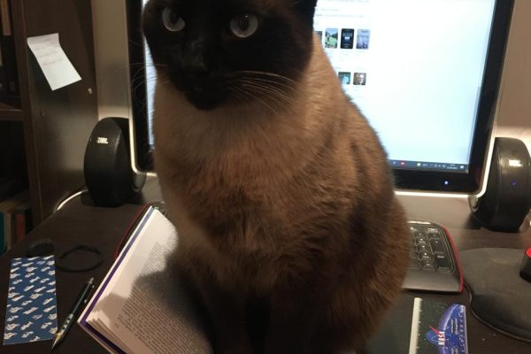 WhatsApp Image 2025-09-15 at 19.14.11_9f987ba9