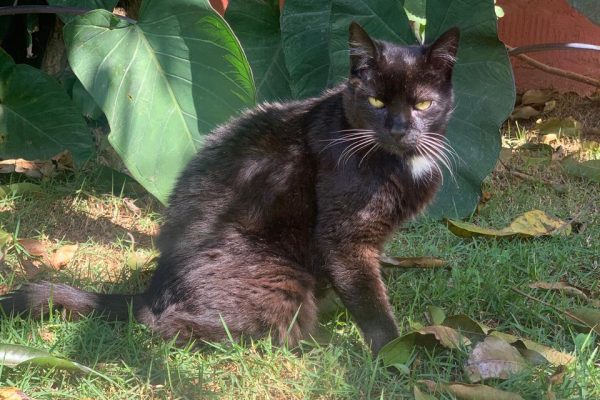 WhatsApp Image 2025-09-15 at 19.14.35_492b2188