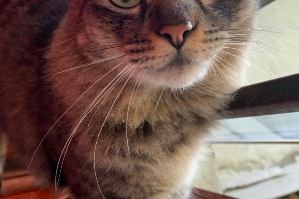 WhatsApp Image 2025-09-15 at 19.14.49_c538a6ed