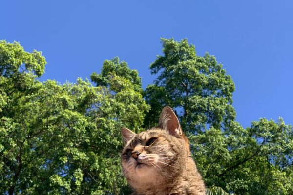 WhatsApp Image 2025-09-15 at 19.15.15_fd397d35